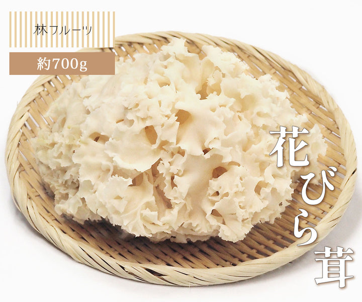 花びら茸 約600g 林フルーツ