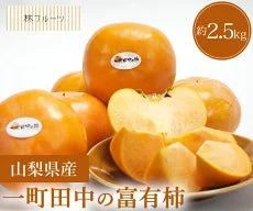 山梨県産 一町田中の富有柿 秀品 約2.5kg
