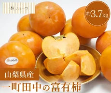 山梨県産 一町田中の富有柿 秀品 約3.7kg