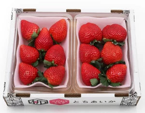 栃木県産 田村さんのとちあいか 約300g×2