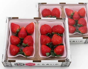 栃木県産 田村さんのとちあいか 約300g×4