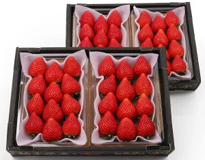 栃木県産 とちあいか約330g（12~15粒）×4