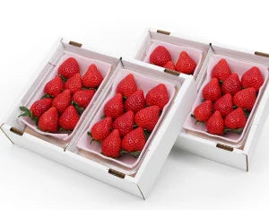 七ツ石いちご職人会 とちあいか 約280g×4