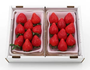 七ツ石いちご職人会 とちあいか 約280g×2