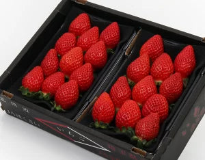 埼玉県産 べにたまいちご (5~15粒) 約250g×2ﾊﾟｯｸ