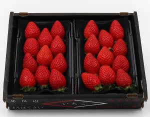 埼玉県産 べにたまいちご (5~15粒) 約250g×2ﾊﾟｯｸ