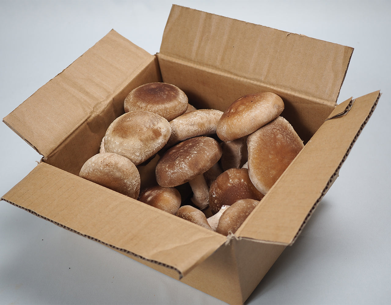 岩手県産香茸0.96キロ 岩手県産 不揃い しいたけ 約400g – ハヤシフルーツ