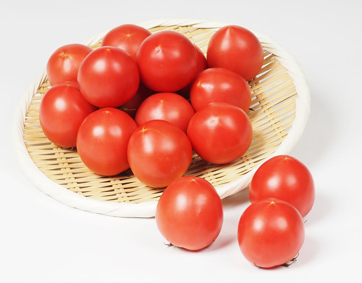岐阜県産 フルーツトマト 甘熟大王 1箱 約1kg