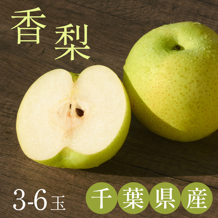 千葉県産 市川の梨 香梨 秀品 約2kg~2.5㎏