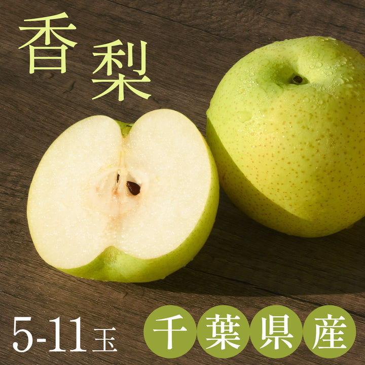 千葉県産 市川の梨 香梨 秀品 約4kg~5㎏