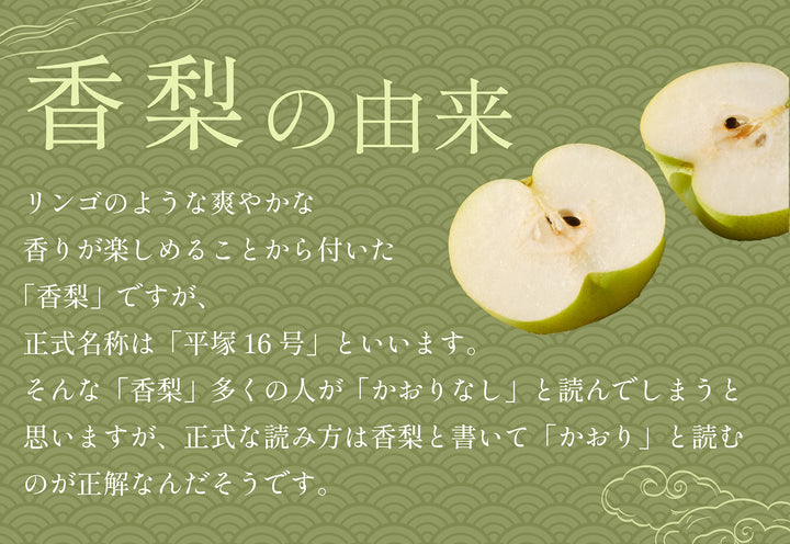 千葉県産 市川の梨 香梨 秀品 約2kg~2.5㎏