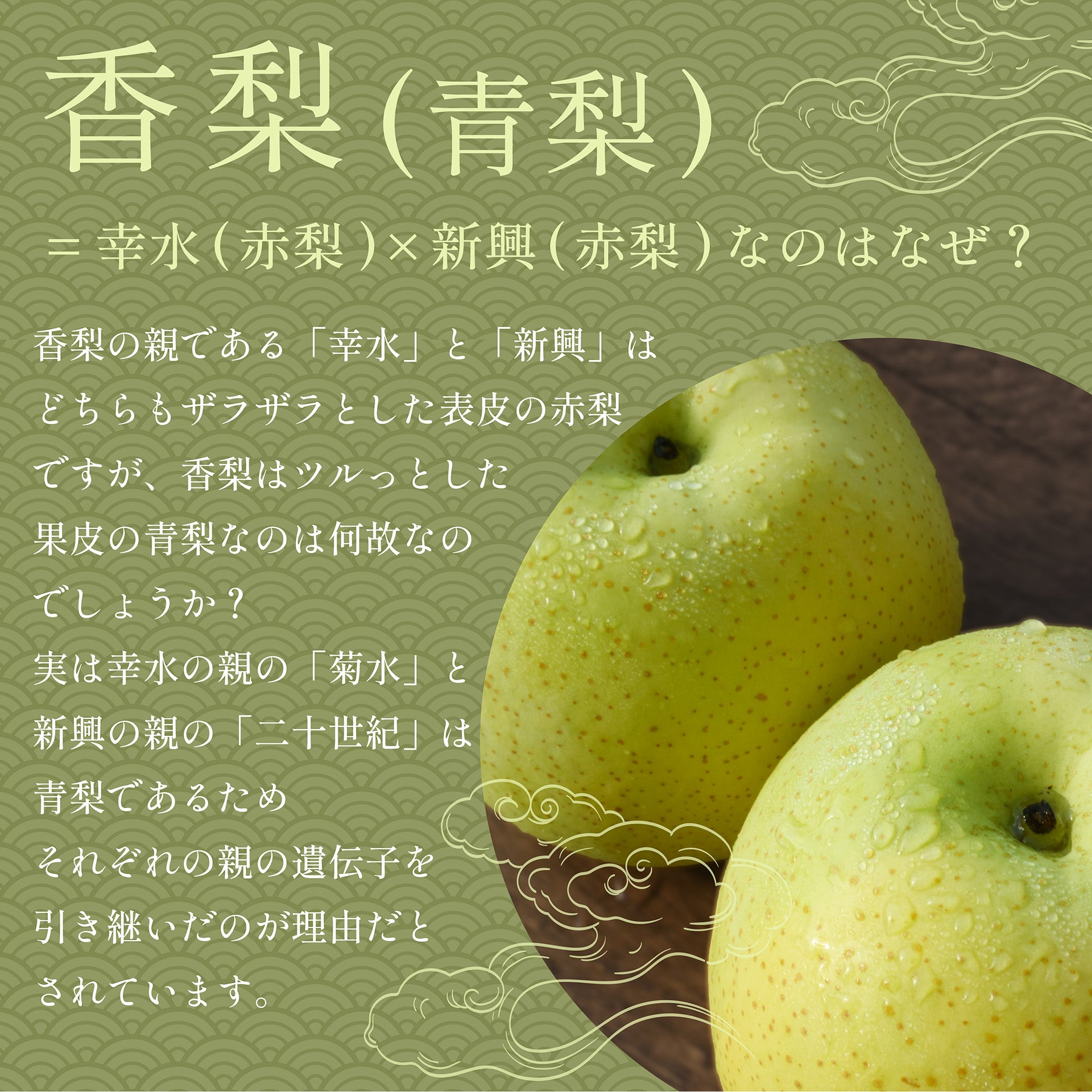 Alohaココナッツpg5+本花梨瘤+重量増し Alohaココナッツpg5+本花梨瘤+重量増し Alohaココナッツ様専用