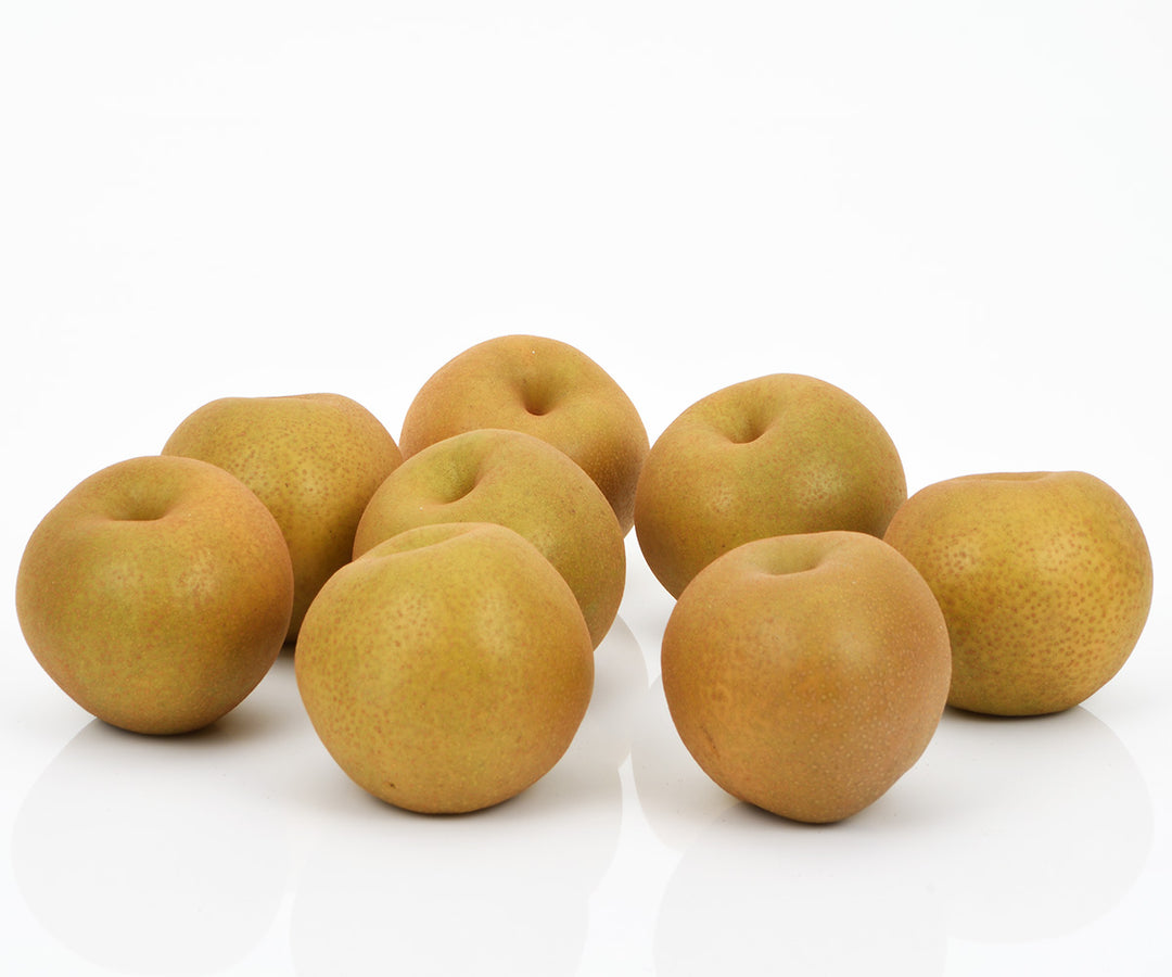 茨城県産 恵水梨 秀品 7玉～14玉 約5kg