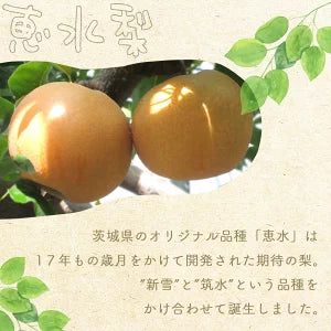 茨城県産 恵水梨 秀品 7玉～14玉 約5kg