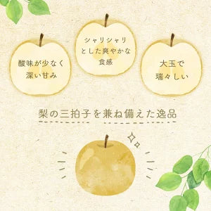茨城県産 恵水梨 秀品 7玉～14玉 約5kg