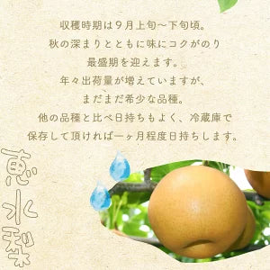 茨城県産 恵水梨 秀品 7玉～14玉 約5kg