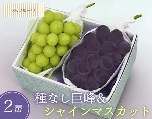 シャインマスカット、種なし巨峰詰め合せ 林フルーツ
