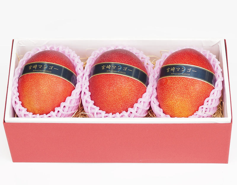 宮崎県産 完熟マンゴー 秀品 3Lｻｲｽﾞ 3玉 – ハヤシフルーツ