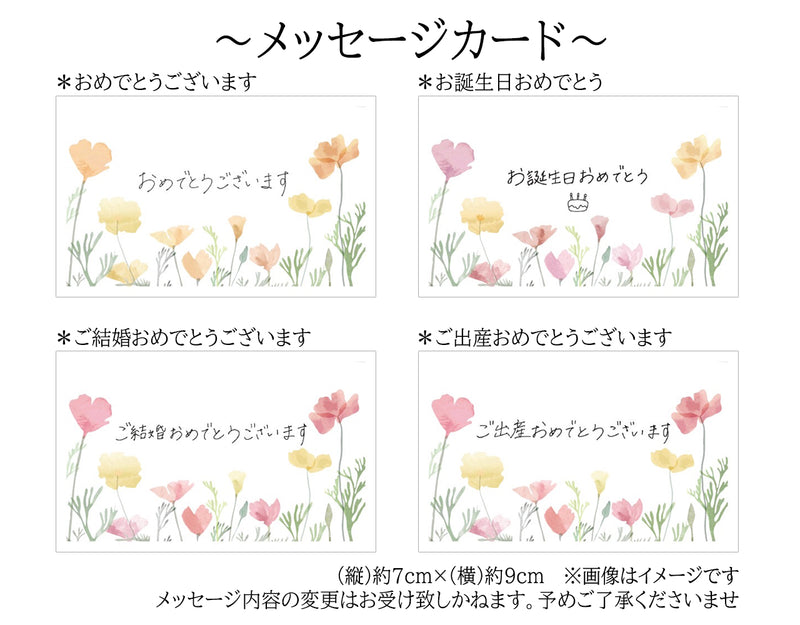 とちあいか苺 DX （12粒~15粒） 約400g