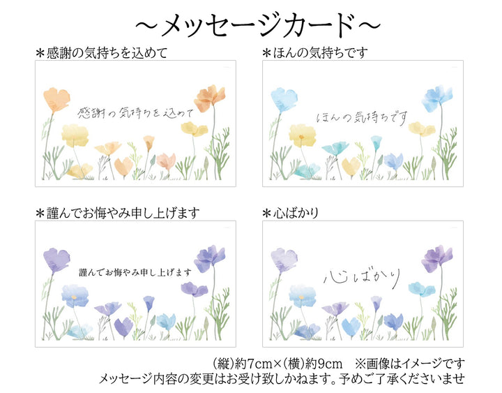 種なし巨峰（もしくはピオーネ）・梨 詰め合せ