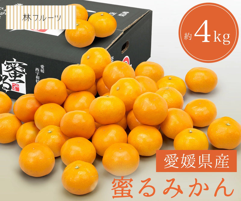 愛媛県産 蜜るみかん 特秀品 約4kg