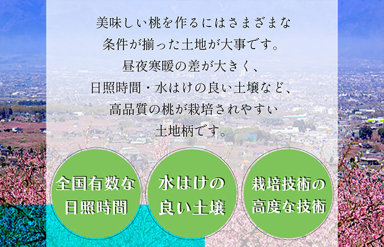 赤肉メロン・もも詰合せ【お中元ギフト】