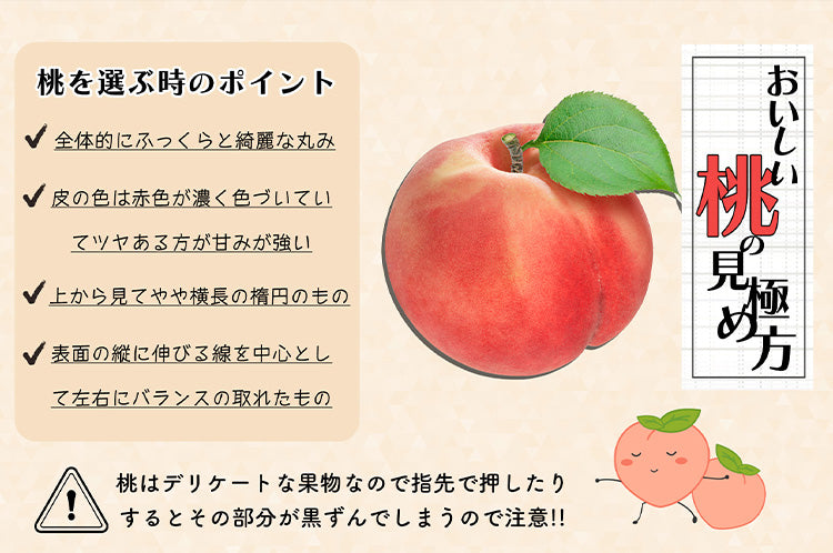 赤肉メロン・もも詰合せ【お中元ギフト】