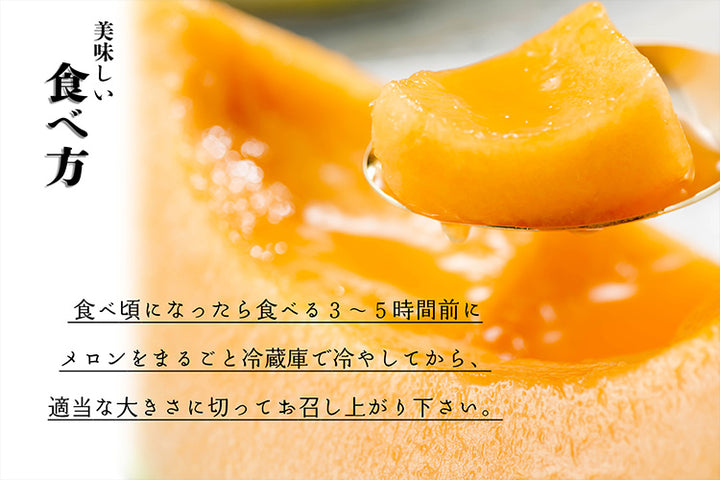 赤肉メロン・もも詰合せ【お中元ギフト】