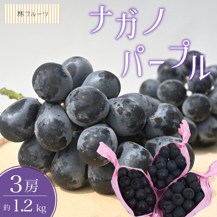 ナガノパープル 秀品 3房 (約1.3kg)