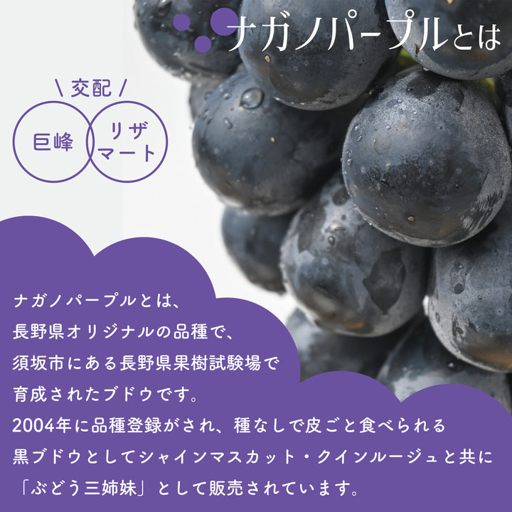 ナガノパープル 2房 約900g