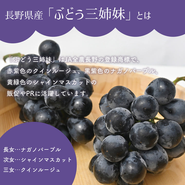 ナガノパープル 2房 約900g