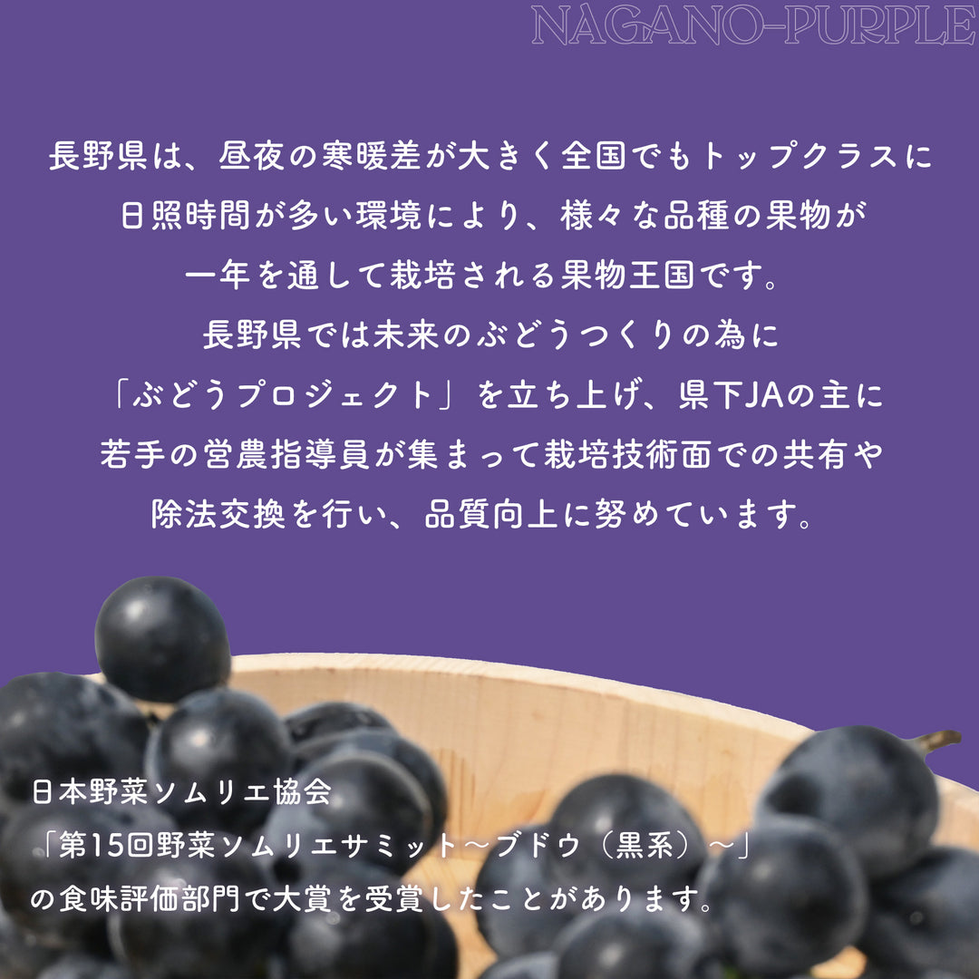 ナガノパープル 2房 約900g