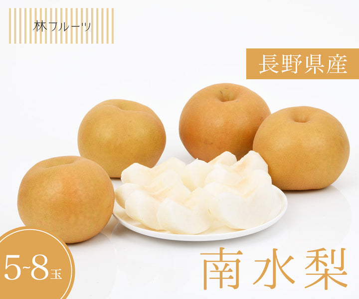 長野県産 南水梨 5玉～8玉 約2.5kg
