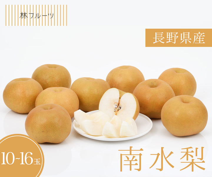 長野県産 南水梨 10玉～16玉 太鼓判 約5kg