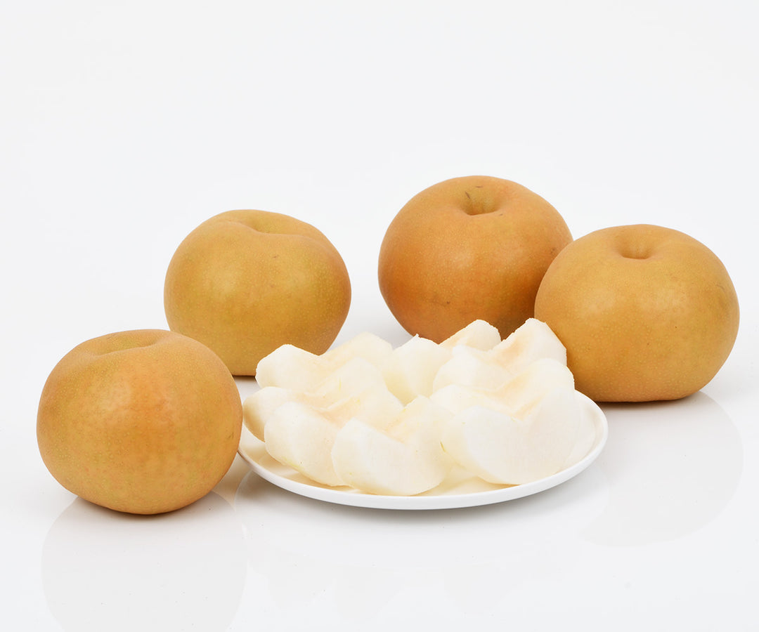 長野県産 南水梨 5玉～8玉 約2.5kg