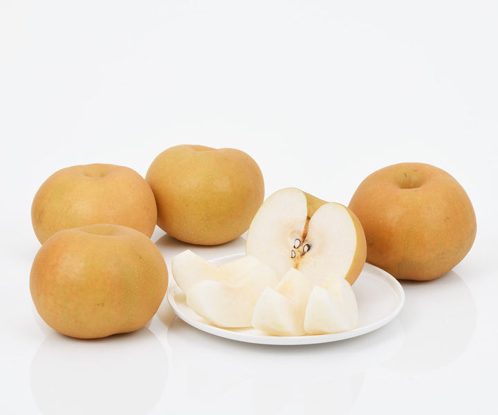 長野県産 南水梨 5玉～8玉 約2.5kg