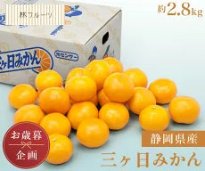 【お歳暮企画】静岡県産 三ケ日 早生みかん 約2.8kg