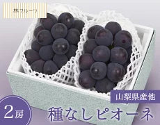 種なしピオーネ 2房 (約900g)