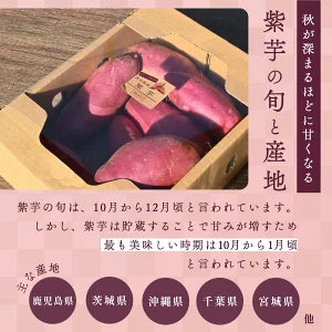 千葉県産他 紫芋 さつまいも 約800g