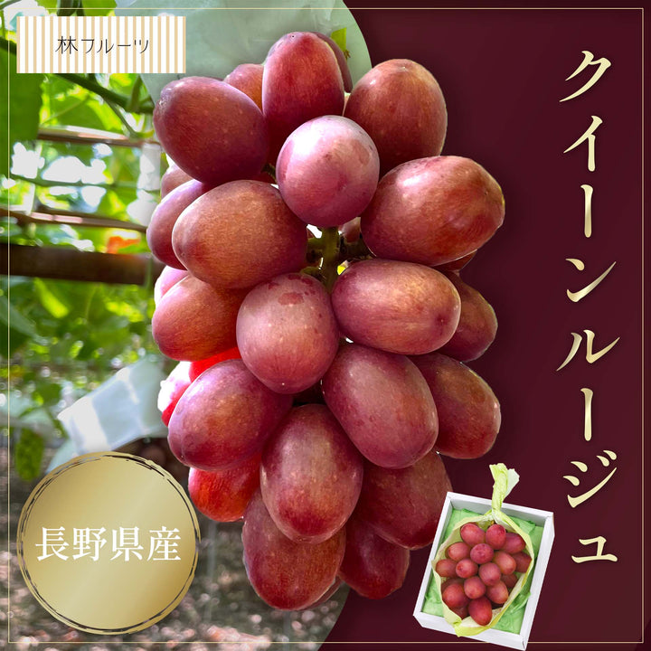 長野県産 クイーンルージュ 1房 (約450g)