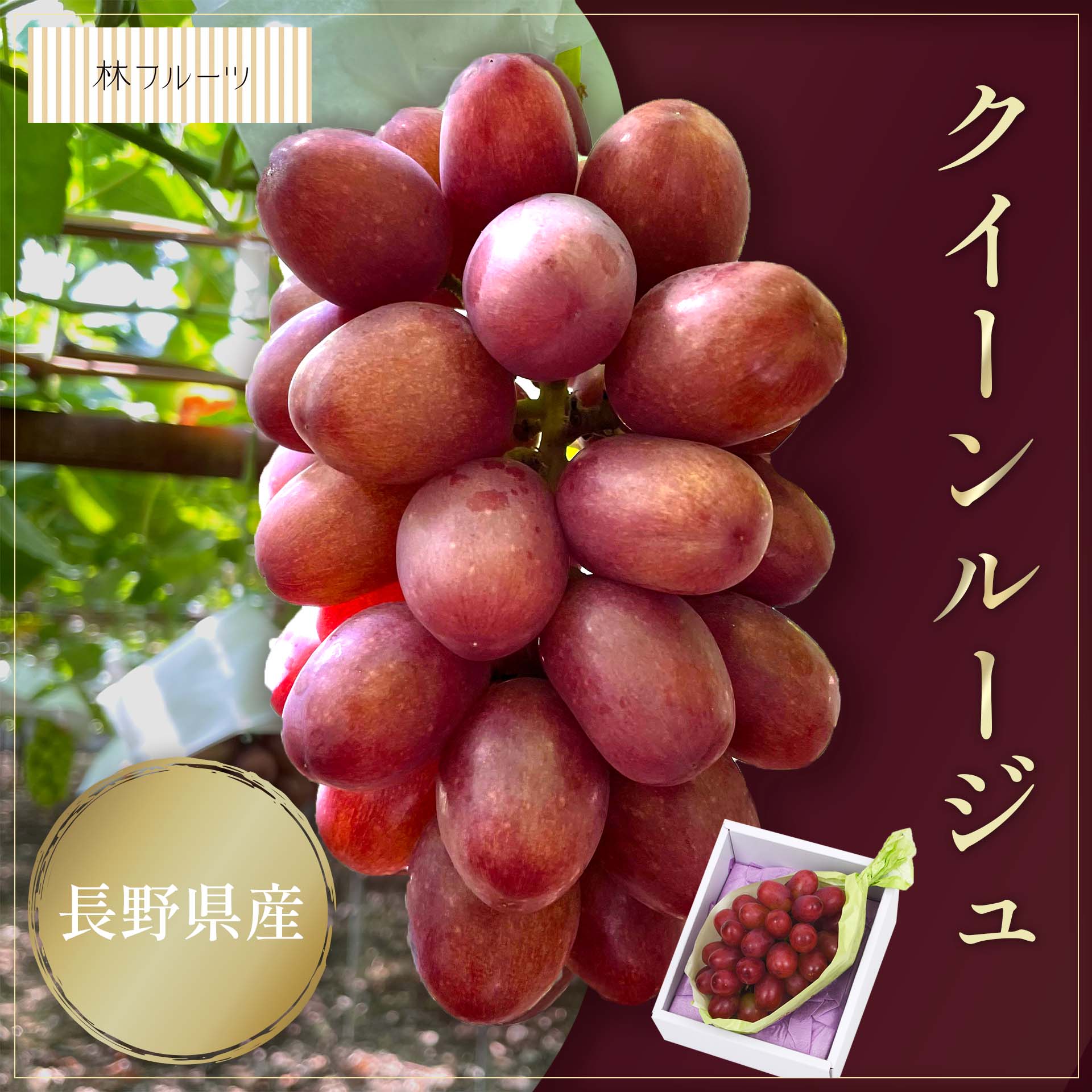 長野県産 クイーンルージュ 1房 (約550g) – ハヤシフルーツ