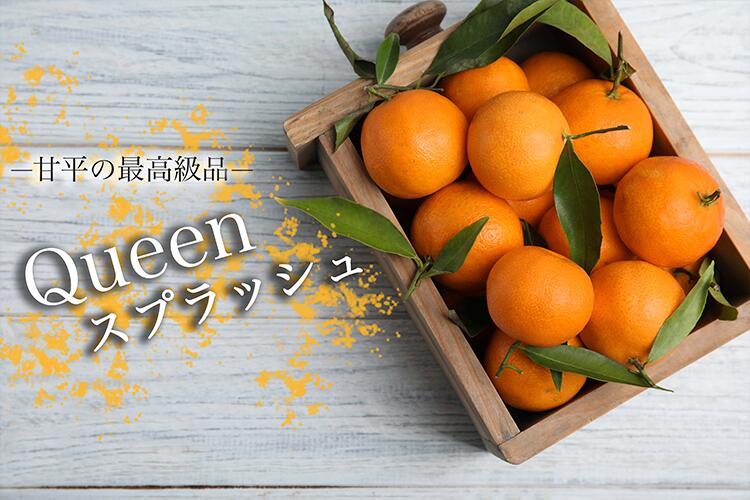 愛媛県産 Queenスプラッシュ 秀品 1箱 約3kg