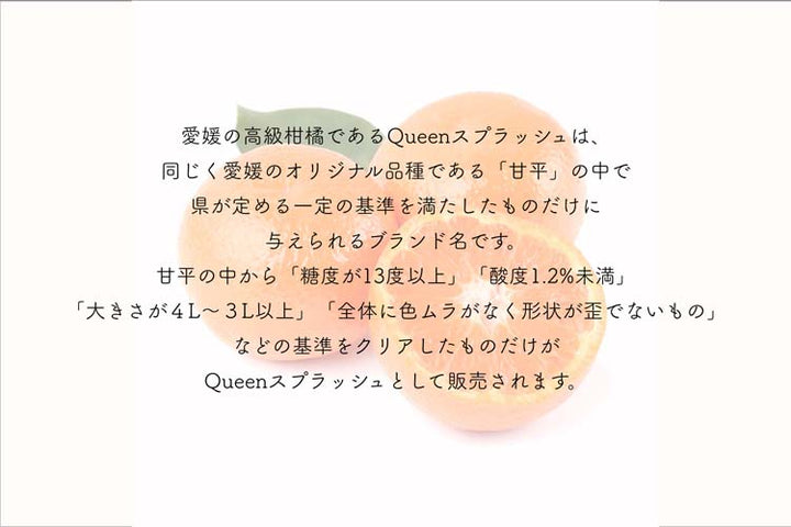 愛媛県産 Queenスプラッシュ 秀品 1箱 約3kg