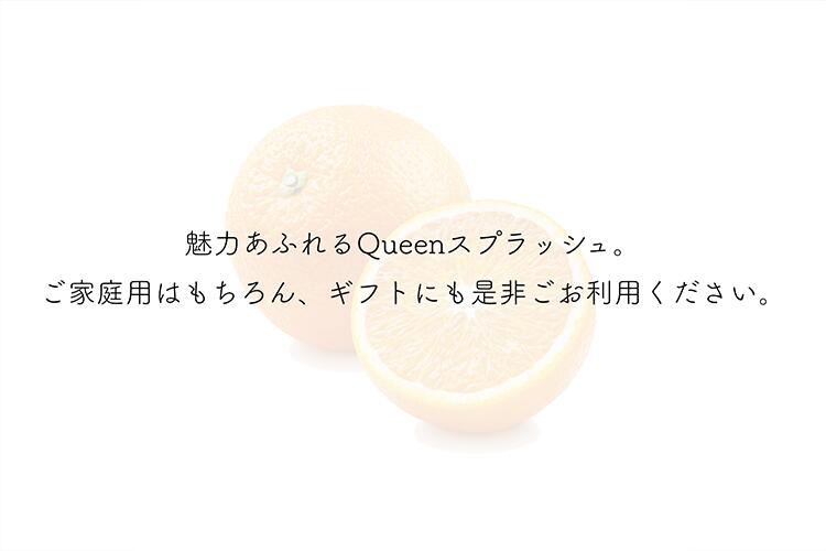 愛媛県産 Queenスプラッシュ 秀品 1箱 約3kg