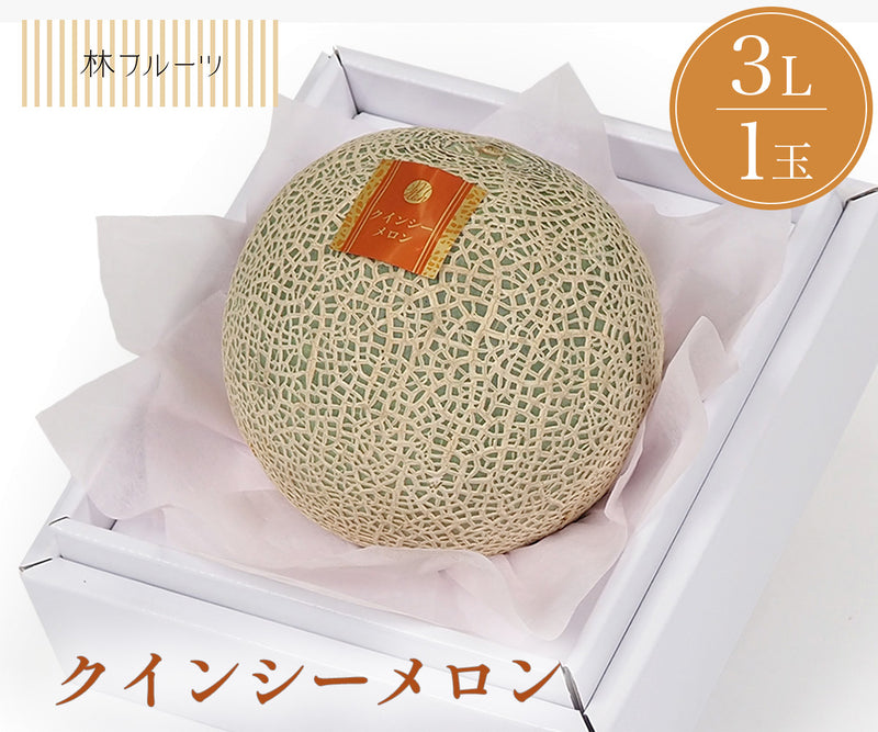 クインシーメロン 秀品 3Lサイズ 1玉