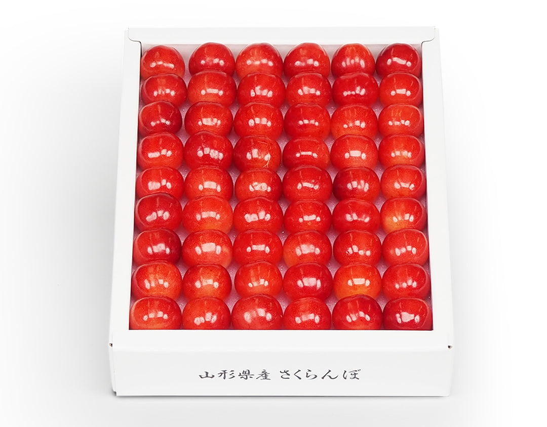 山形県産さくらんぼ（佐藤錦もしくは紅秀峰） 化粧箱 Lサイズ~3Lサイズ 約500g