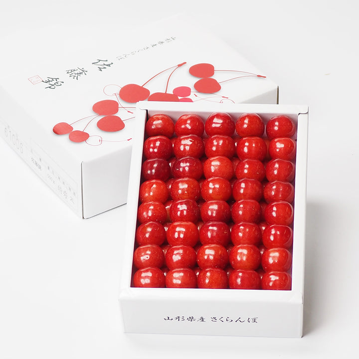 山形県産さくらんぼ（佐藤錦もしくは紅秀峰） 化粧箱 Lサイズ~3Lサイズ 約500g