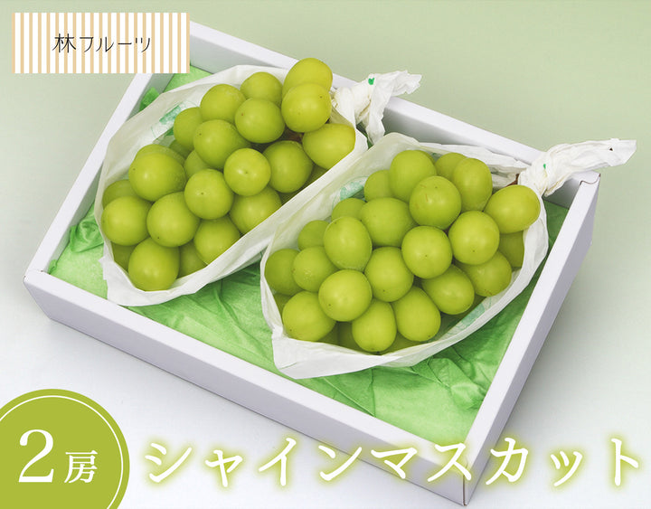 山梨県産他 シャインマスカット 2房（約950g）