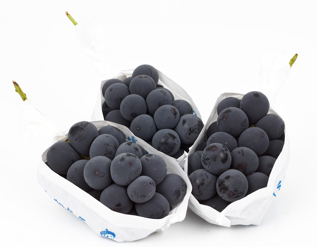 長野県産 志賀高原 種なし巨峰 秀品 3房 (計 約1.2kg) – ハヤシ