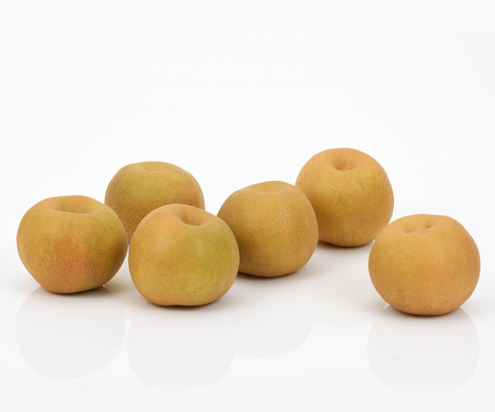鳥取県産 新甘泉 秀品 5玉～8玉 約2.5kg